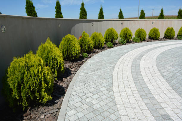 Best Driveway Borders and Edging Pavers in Woodville, CA